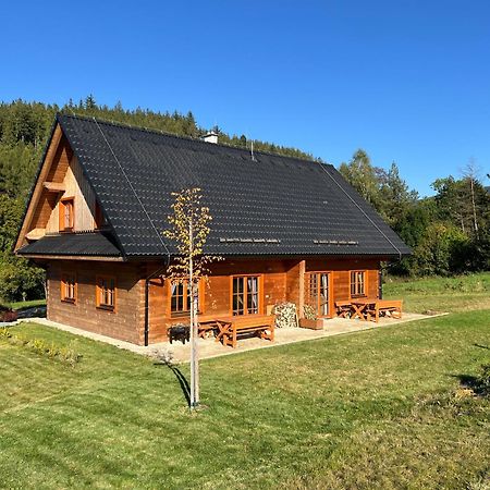 Apartmany Orlice Červená Voda Extérieur photo