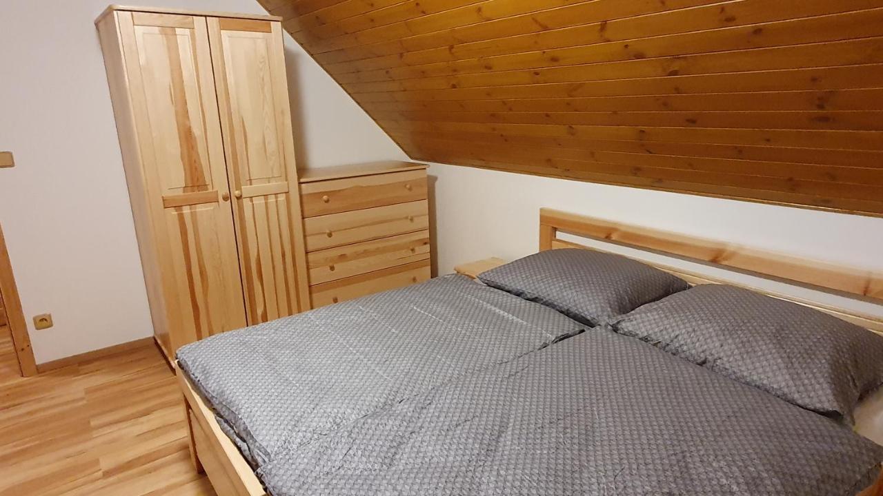 Apartmany Orlice Červená Voda Extérieur photo