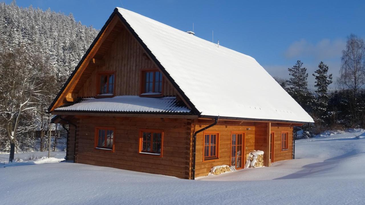 Apartmany Orlice Červená Voda Extérieur photo